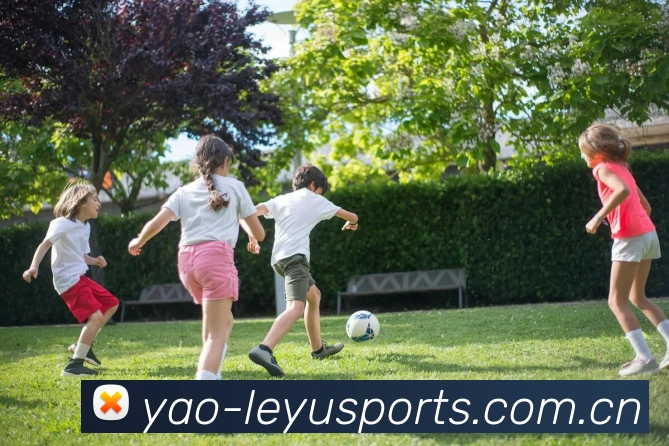 乐鱼体育APP - 官方下载入口 - Leyu SportsApp界面